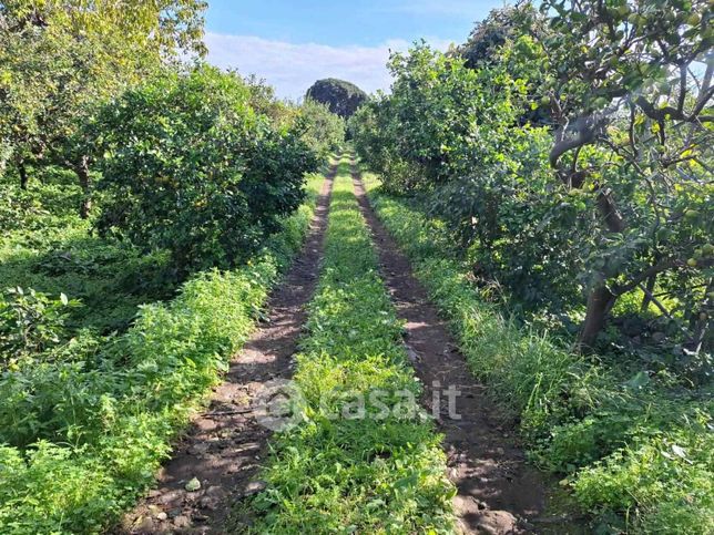 Terreno agricolo in commerciale in Via San Piero Patti