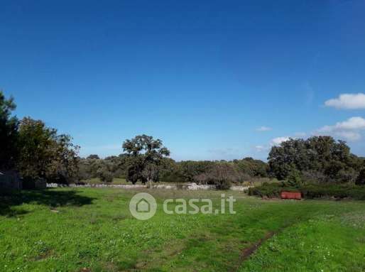 Terreno agricolo in commerciale in Contrada Scarciglia