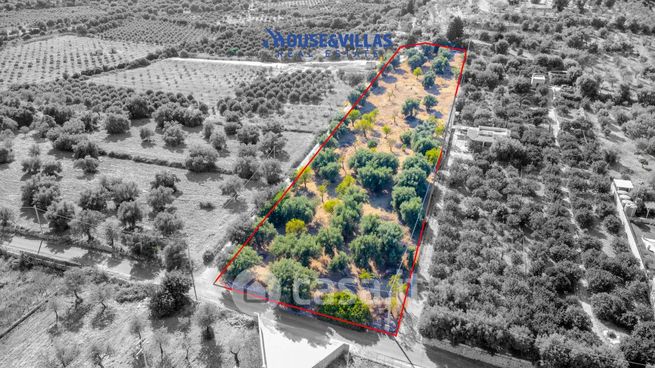 Terreno agricolo in commerciale in Strada Senza Nome