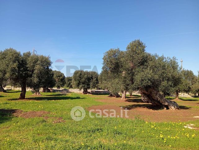 Terreno agricolo in commerciale in Contrada Chianchizza