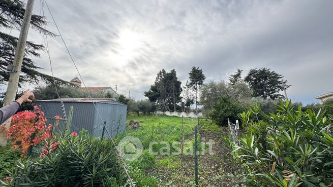 Terreno edificabile in residenziale in Via Statale 16 Nord 101