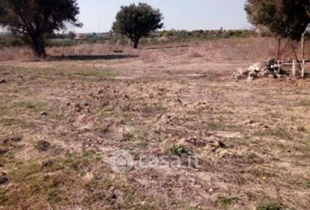 Terreno agricolo in commerciale in Viale Magna Grecia