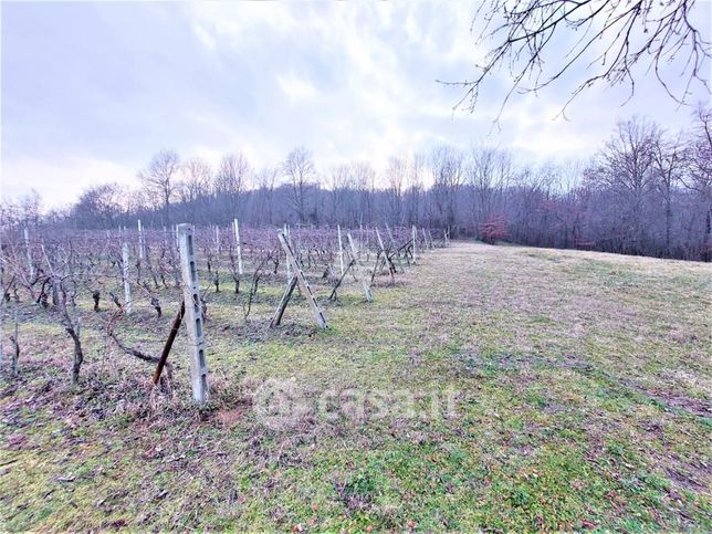 Terreno agricolo in commerciale in Strada Canalassa 1