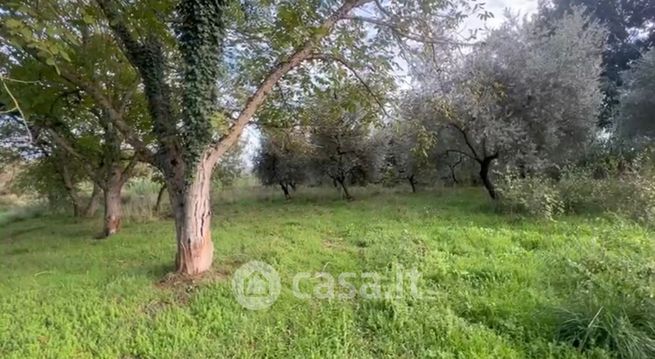 Terreno agricolo in commerciale in Via Frascheto