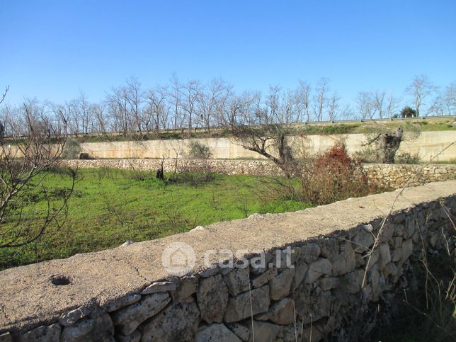 Terreno agricolo in commerciale in Contrada doganiere