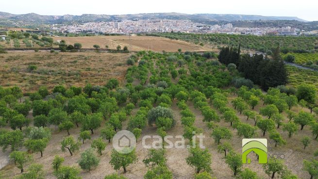 Terreno agricolo in commerciale in Via Gioi