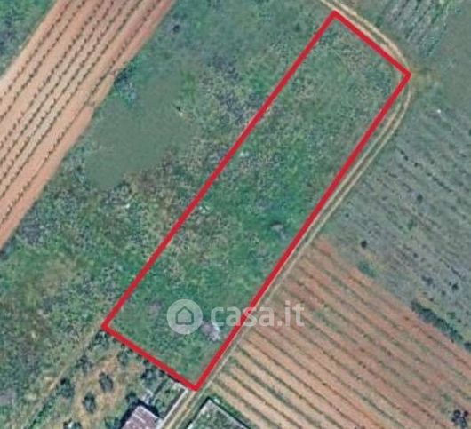Terreno agricolo in commerciale in 