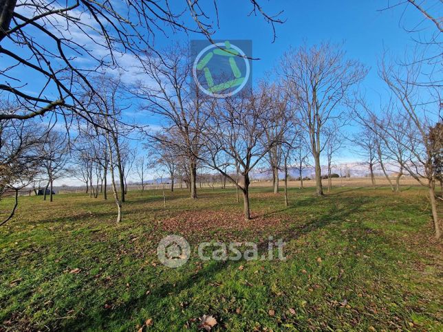 Terreno agricolo in commerciale in 