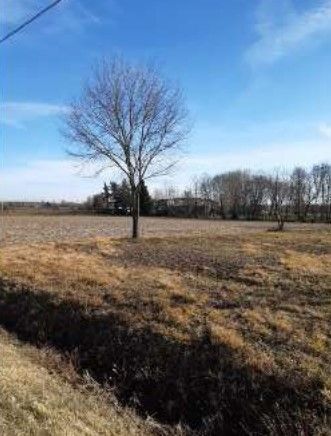 Terreno agricolo in commerciale in Via Palazzine di Sopra