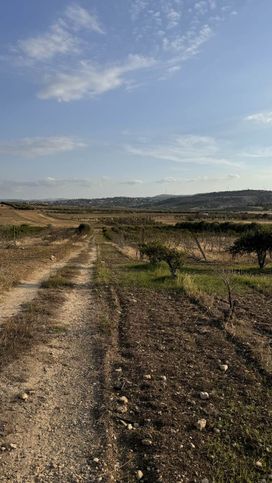 Terreno agricolo in commerciale in 