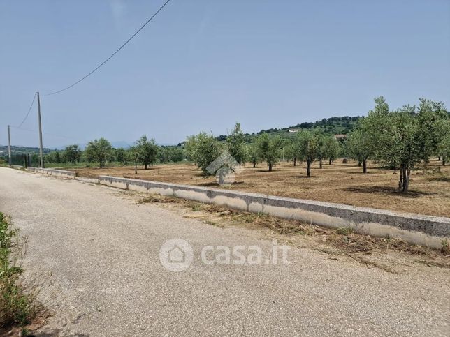 Terreno agricolo in commerciale in Via Cesine