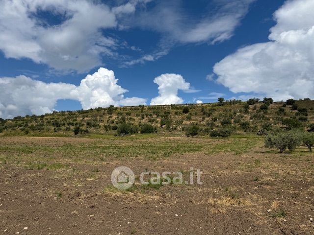 Terreno agricolo in commerciale in Strada Comunale 22