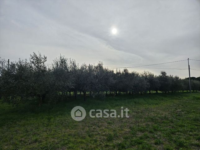 Terreno edificabile in residenziale in Località Carraia 69