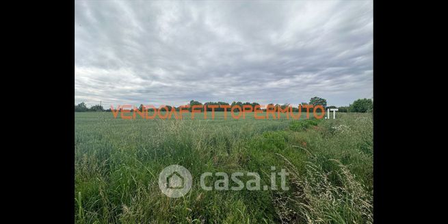 Terreno agricolo in commerciale in 