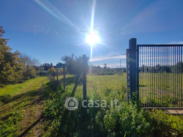 Terreno agricolo in commerciale in Via del Sorbo