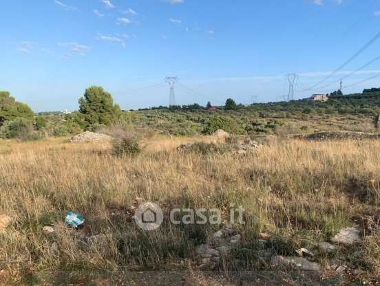 Terreno agricolo in commerciale in San Vittore