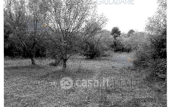 Terreno agricolo in commerciale in 