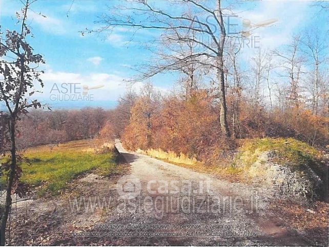 Terreno agricolo in commerciale in Strada Case Grandi