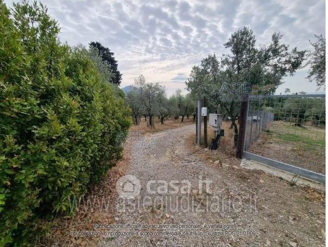 Terreno agricolo in commerciale in Via Baronese