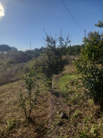 Terreno agricolo in commerciale in Via Giacomo Matteotti