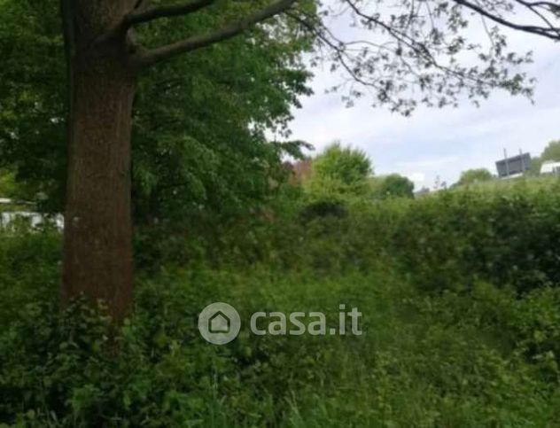 Terreno agricolo in commerciale in Strada Terraglio