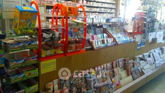 Attivitã /licenza (con o senza mura) in commerciale in 