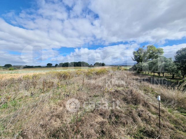 Terreno agricolo in commerciale in Strada Provinciale 9