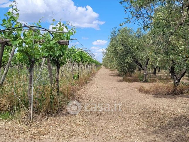 Terreno agricolo in commerciale in Strada Provinciale 72