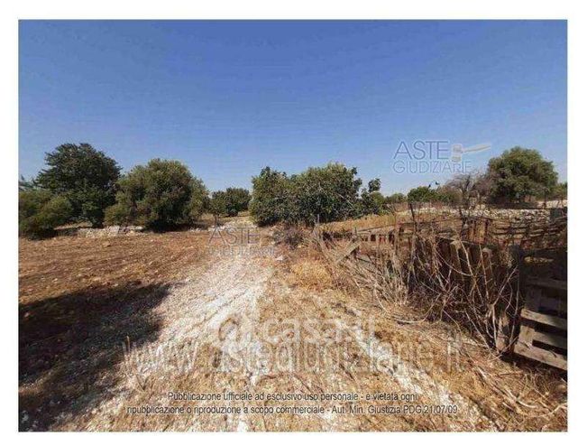 Terreno agricolo in commerciale in Strada di S.Catrini