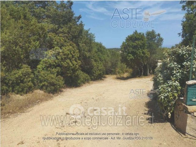 Terreno agricolo in commerciale in 