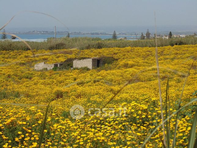 Terreno agricolo in commerciale in Contrada Baronello