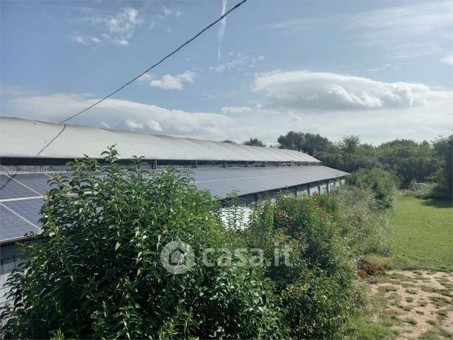 Terreno agricolo in commerciale in Via Palustrella