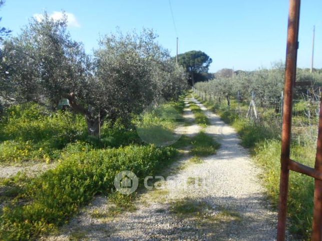 Terreno agricolo in commerciale in Contrada Fontanelle 1