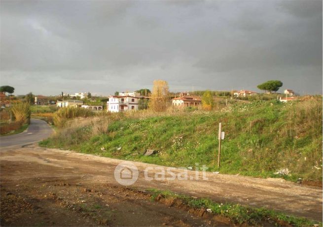 Terreno agricolo in commerciale in Via Vigne Nuove