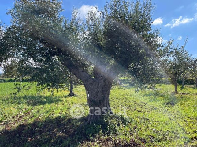 Terreno agricolo in commerciale in Contrada Lacco