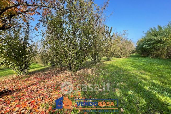 Terreno agricolo in commerciale in Borgata Rossi