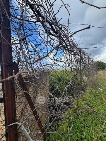 Terreno agricolo in commerciale in SP127 4