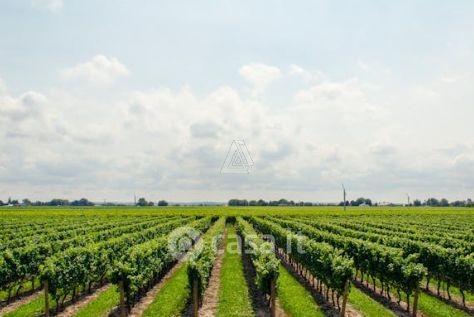 Terreno agricolo in commerciale in Via Vittorio Veneto