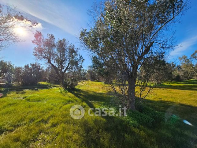 Terreno agricolo in commerciale in 