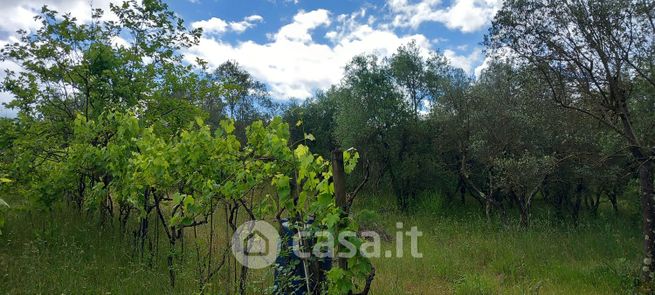 Terreno agricolo in commerciale in Via Poggio Secco