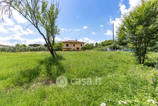 Terreno edificabile in residenziale in Via Francesca Sud Poggio Tempesti