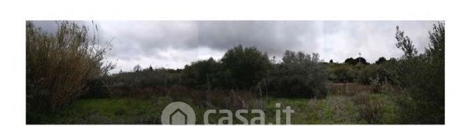 Terreno agricolo in commerciale in