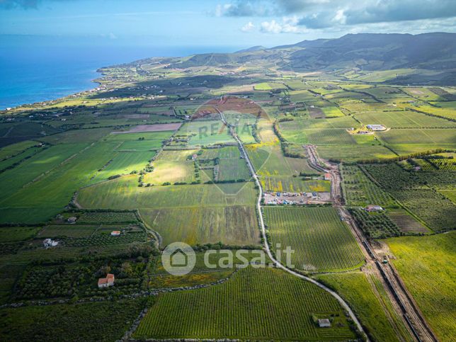 Terreno agricolo in commerciale in Strada Senza Nome