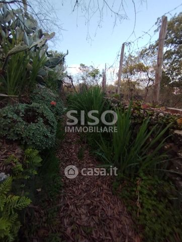 Terreno agricolo in commerciale in Via Dagalone