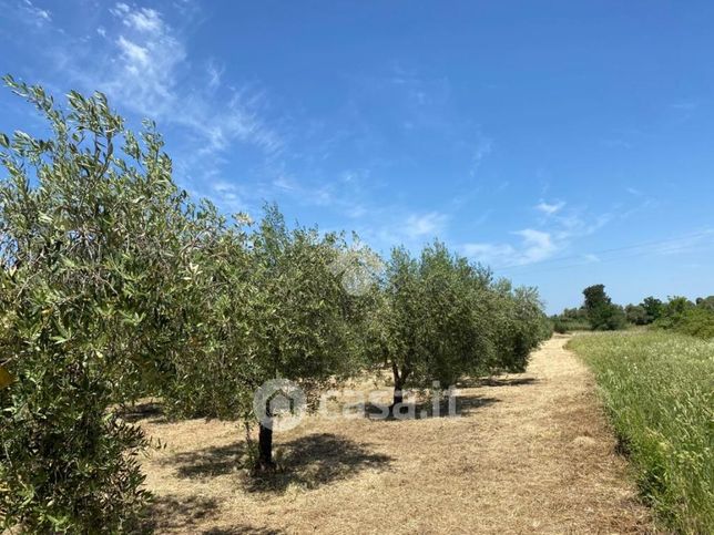 Terreno agricolo in commerciale in Via dei Tulipani