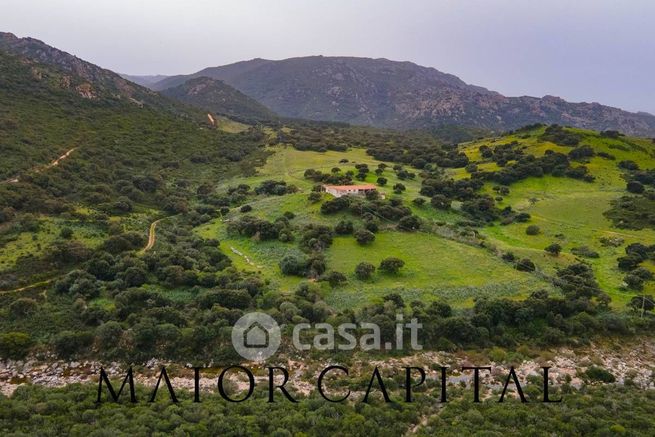 Terreno agricolo in commerciale in Strada Senza Nome