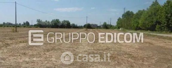 Terreno agricolo in commerciale in Loc. Monticelle