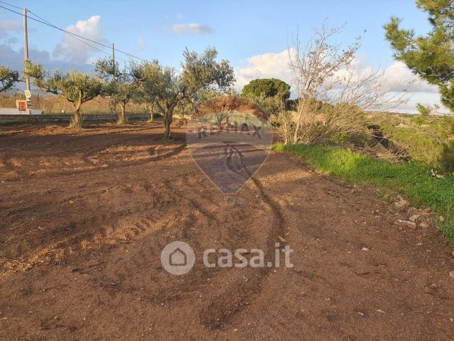 Terreno agricolo in commerciale in San Nicolo le Canne