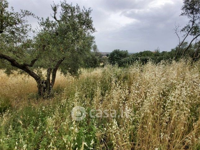 Terreno agricolo in commerciale in Via XII Apostoli