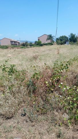 Terreno agricolo in commerciale in Strada 17
